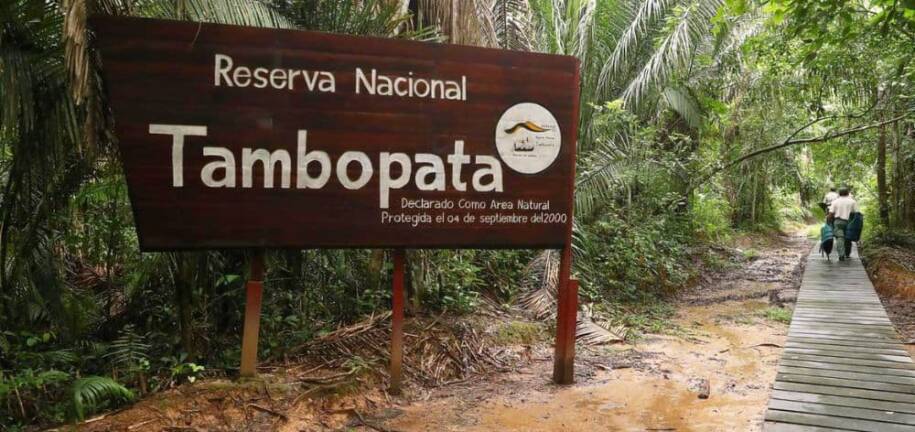 destacado como llegar reserva nacional tambopata
