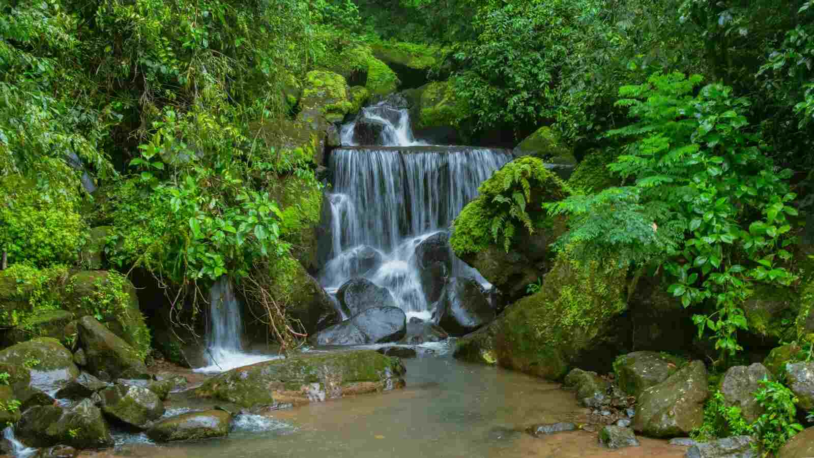 Selva Amazónica