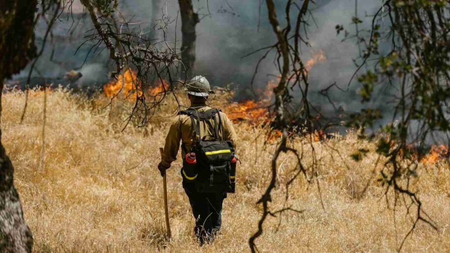 prevenir incendios forestales