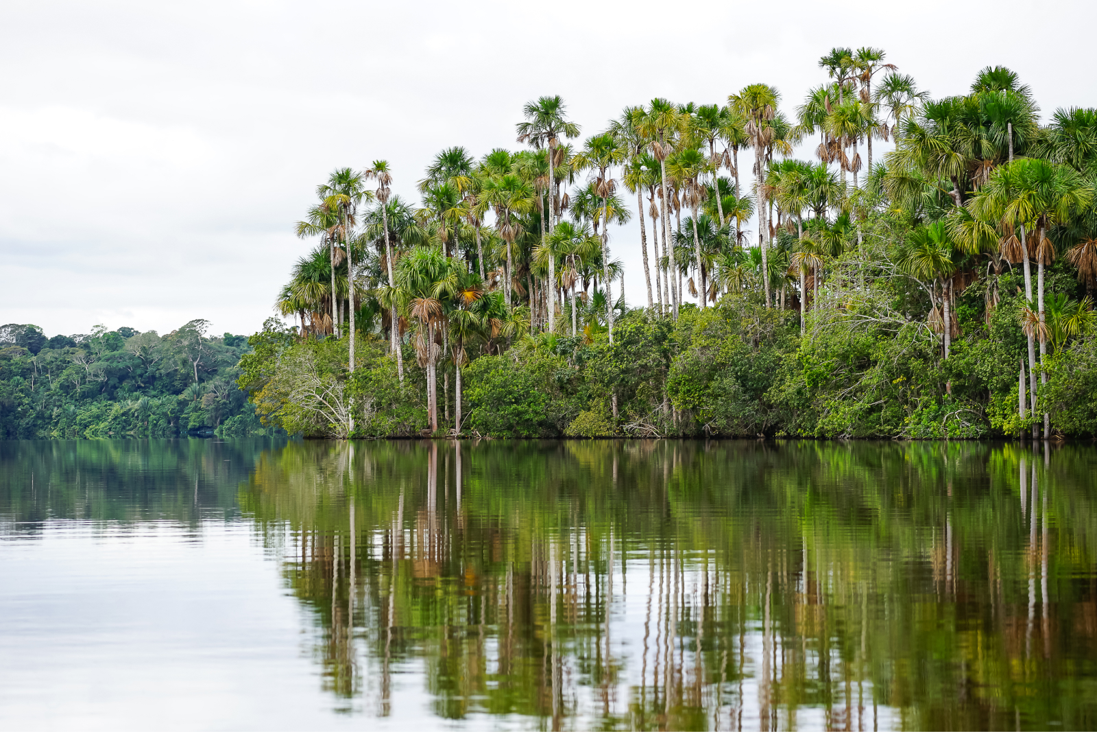 sandoval lake