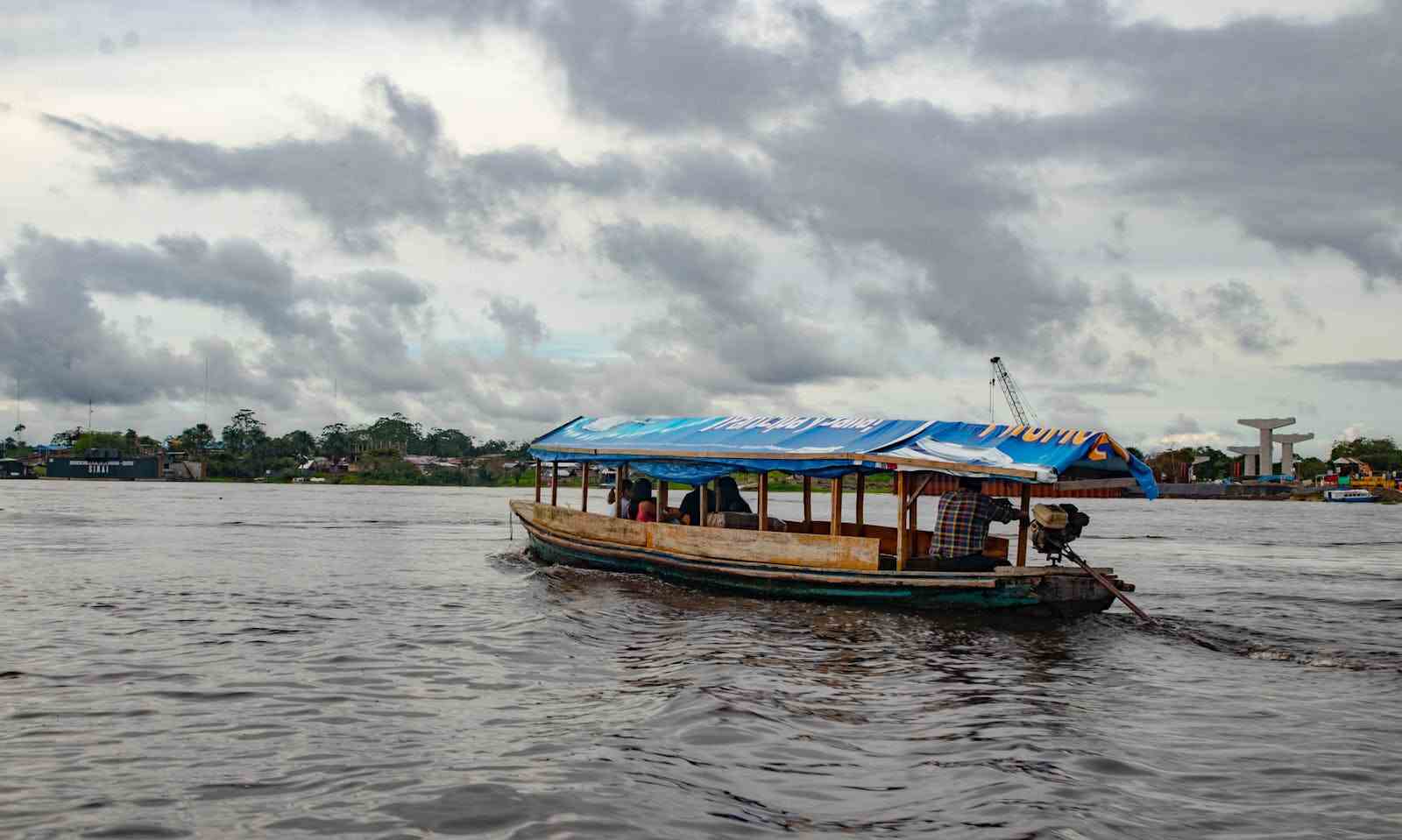 fotos de la selva tropical