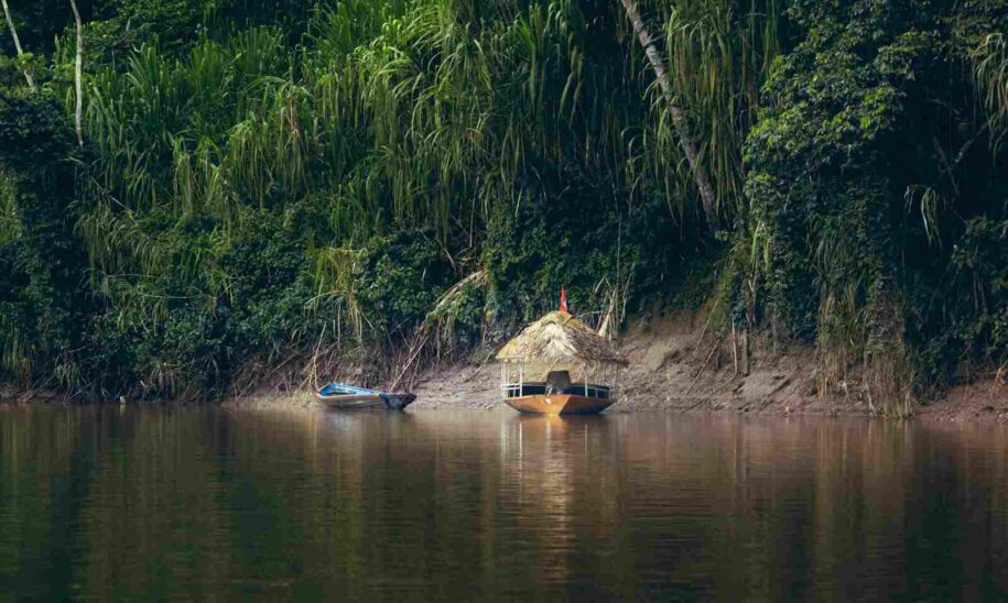 fotografía en la selva amazónica