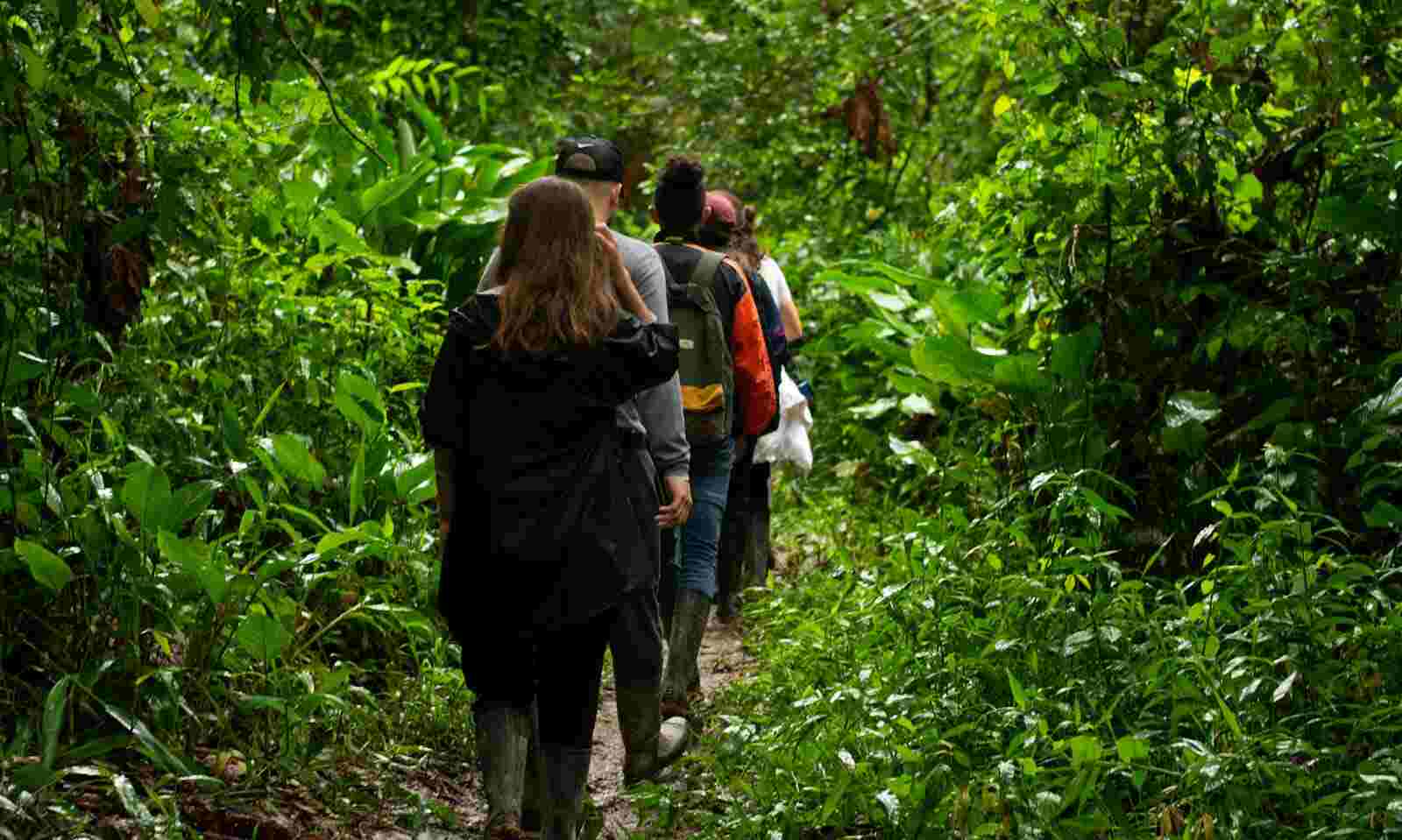 actividades en la selva peruana